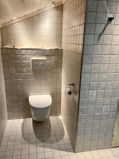 Toalettet Galleribilde