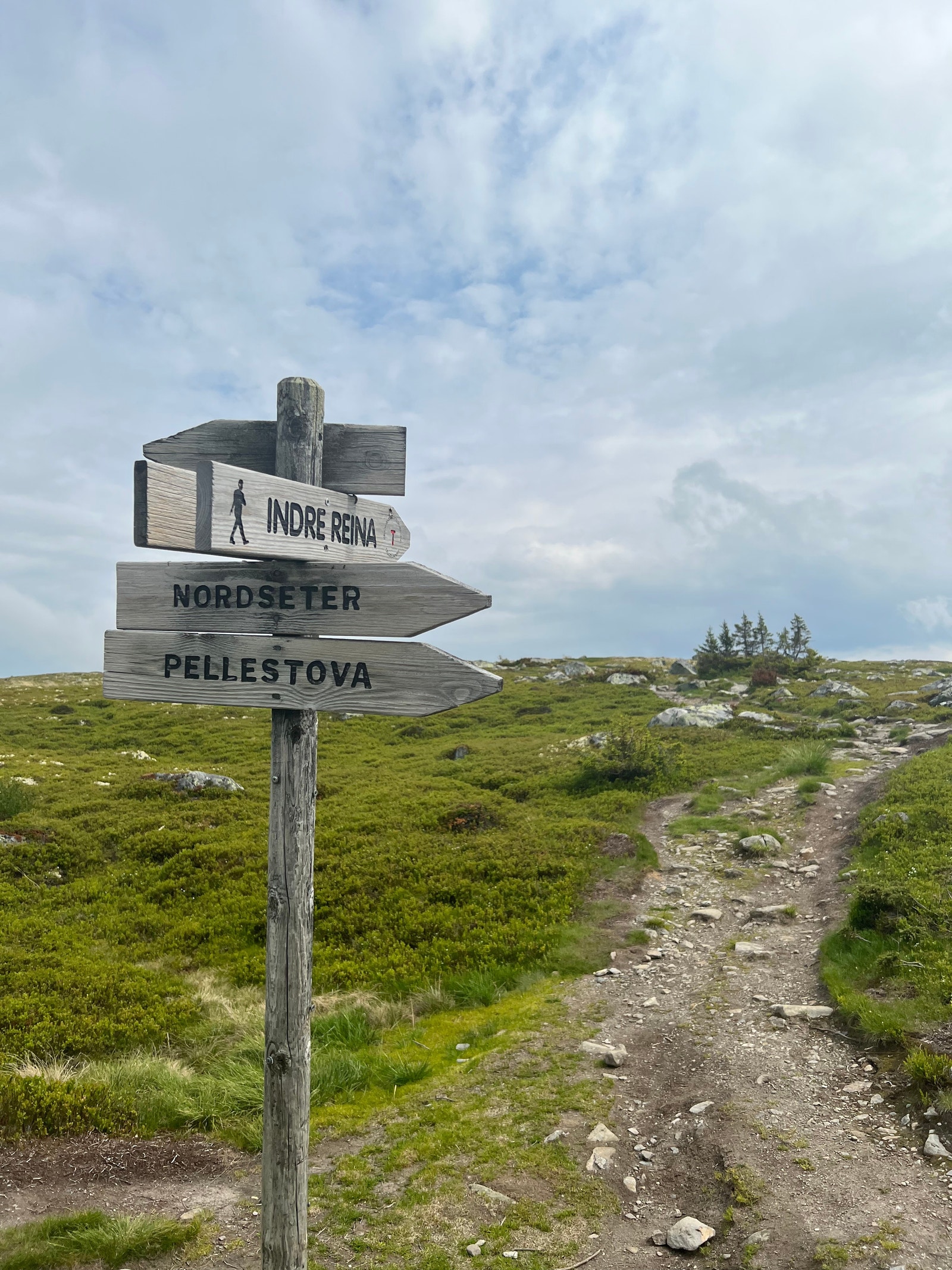 Flotte turmuligheter til fots eller på sykkel sommertid Galleribilde