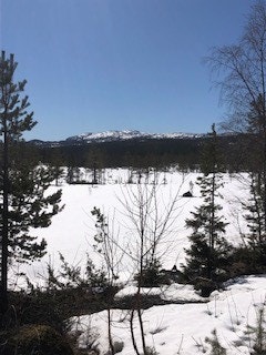 Mye snø og flotte oppkjørte løyper Galleribilde