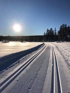 Perfekte skispor i umiddelbar nærhet Galleribilde