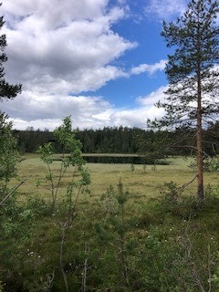Fanteputten på Vikerfjell Galleribilde