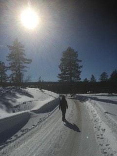 Lange gåtur på vinter og sommer Galleribilde