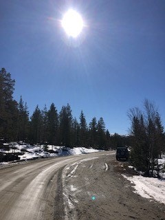 Sol fylte dager Galleribilde