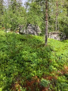 Store flotte steiner på tomten Galleribilde