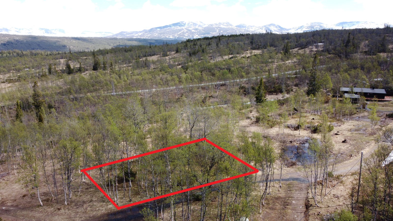 Fin utsikt med Skarsfjellene i bakgrunnen Galleribilde