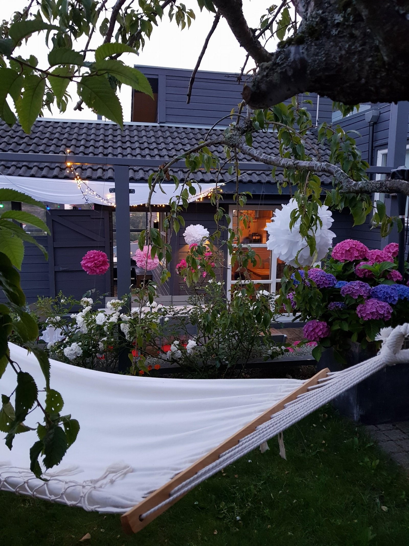 Stemningsbilde fra sommeren Galleribilde