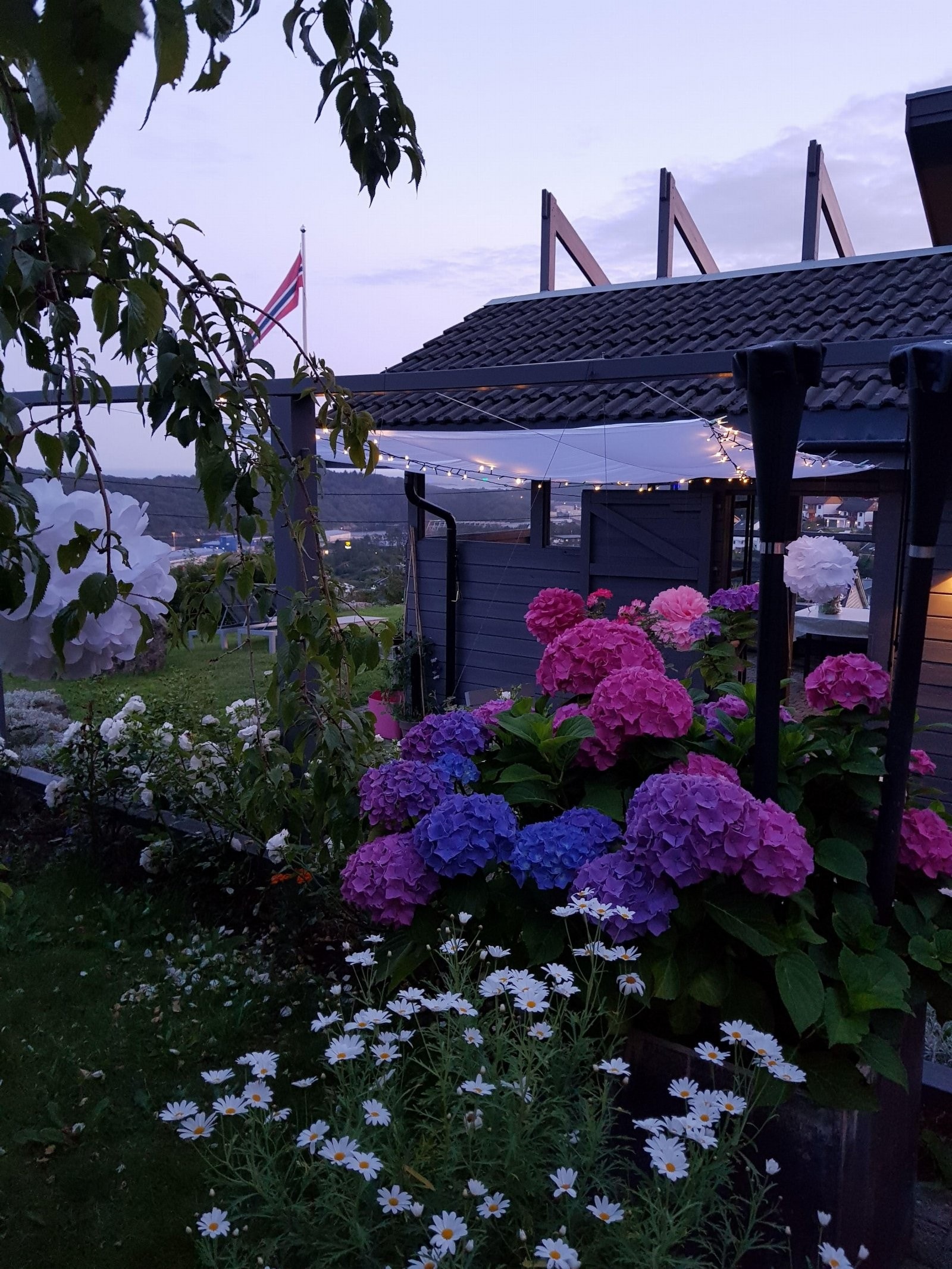 Tomten er et skue på sommerstid med sine mange vekster. Galleribilde