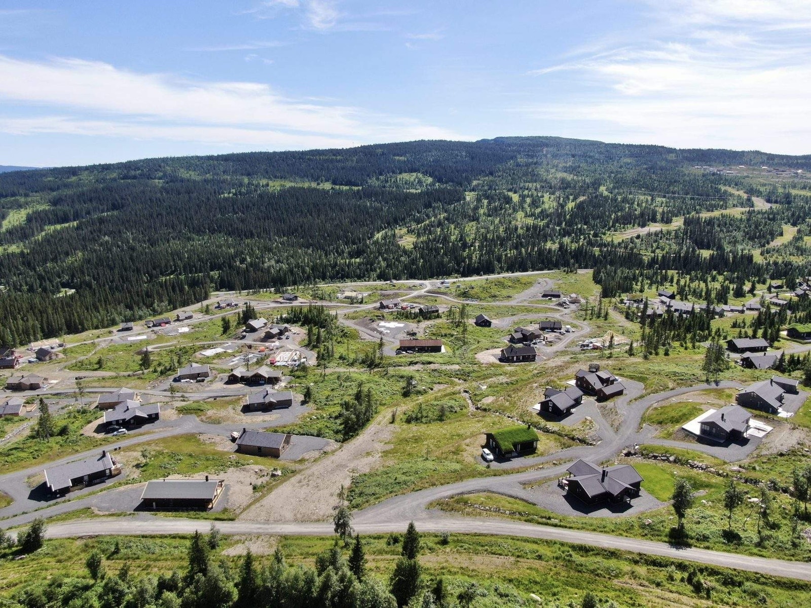 Slåseterlia Fjellgrend Galleribilde