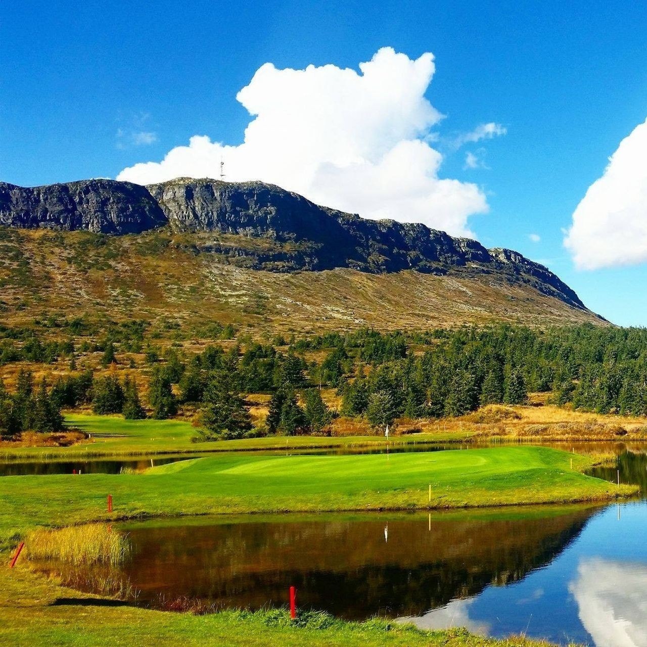 Bilde fra golfbana Galleribilde