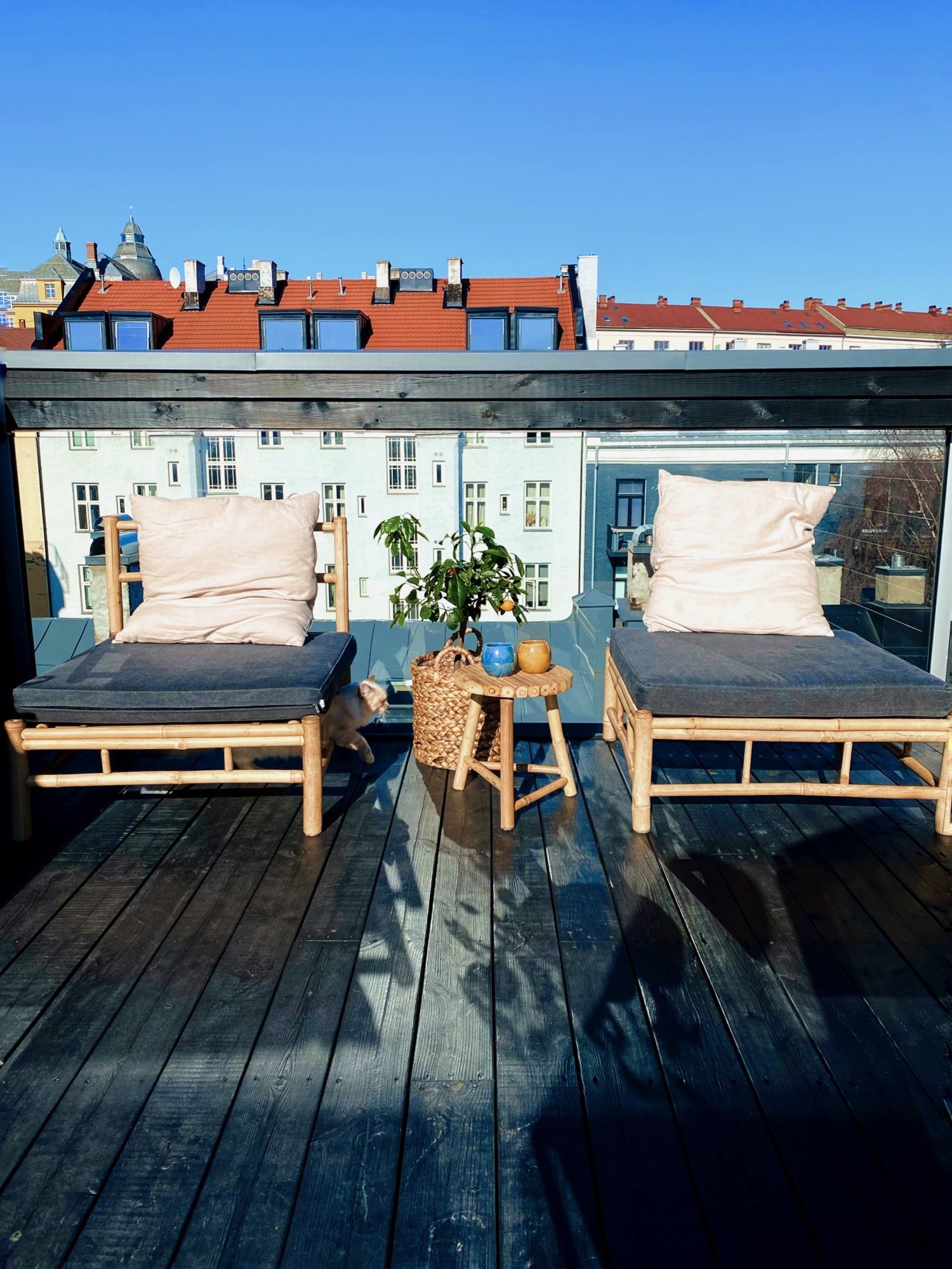 Det er sol hele døgnet på terassen! Galleribilde