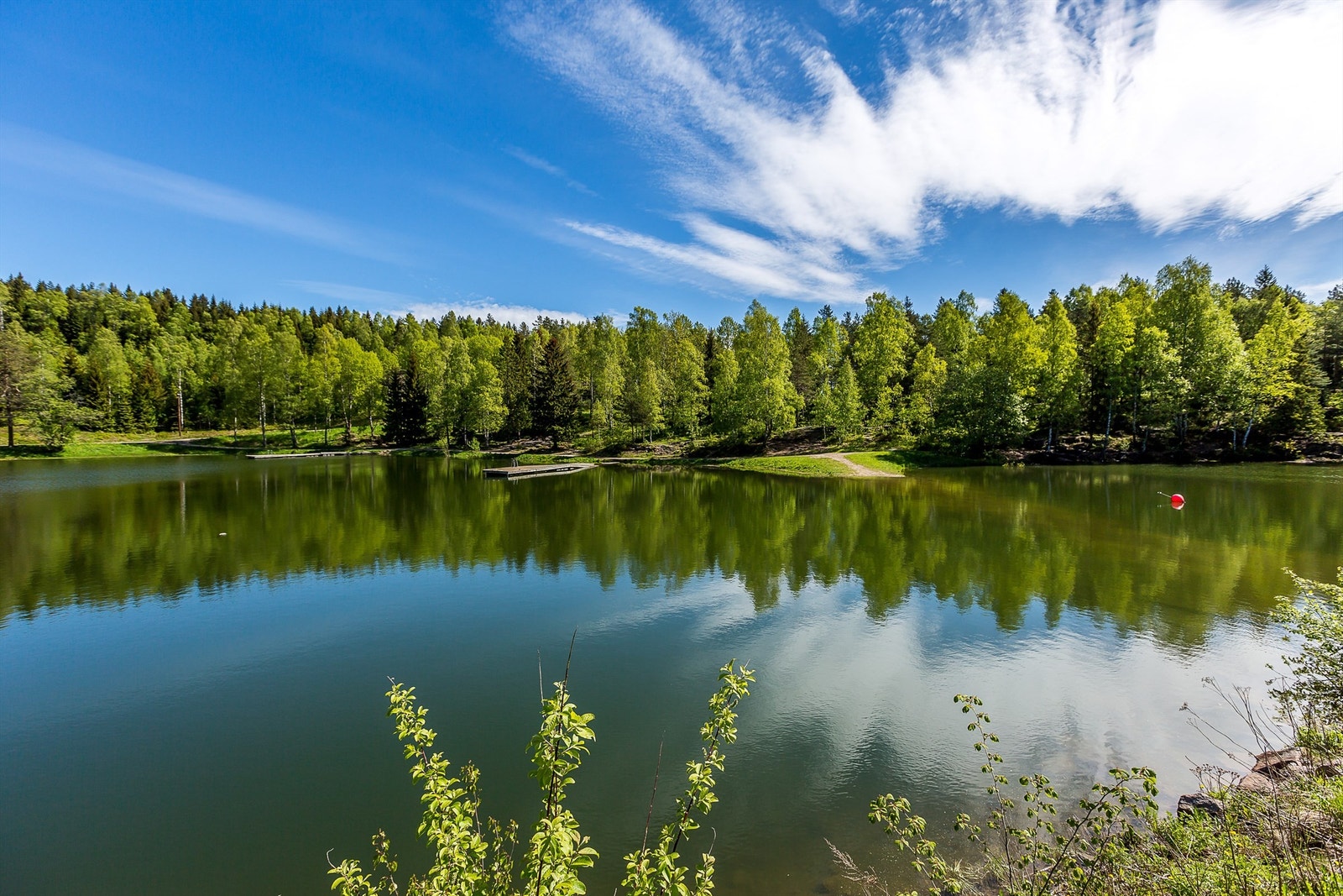 Trollvann Galleribilde