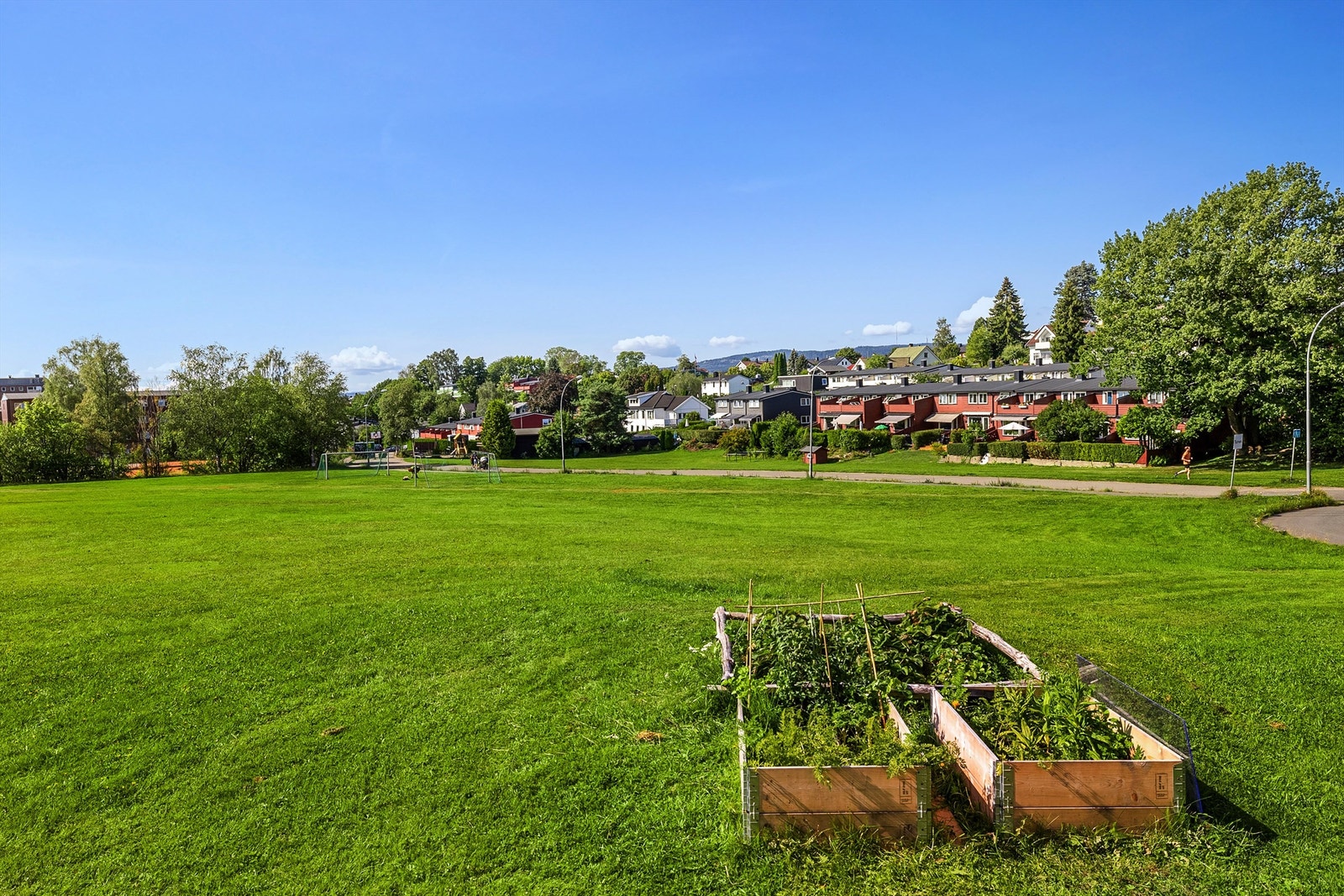 På fellesarealet er det satt opp plantekasser hvor beboerne kan dyrke grønnsaker Galleribilde