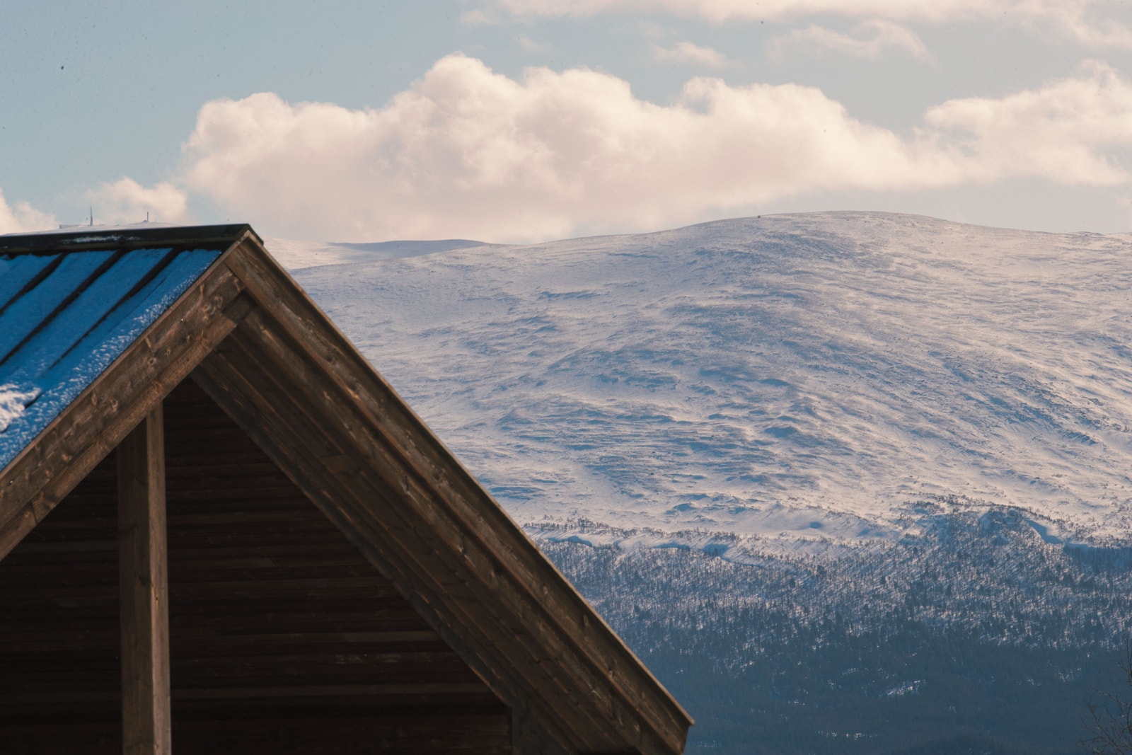 Utsikt over hyttetaket. Galleribilde