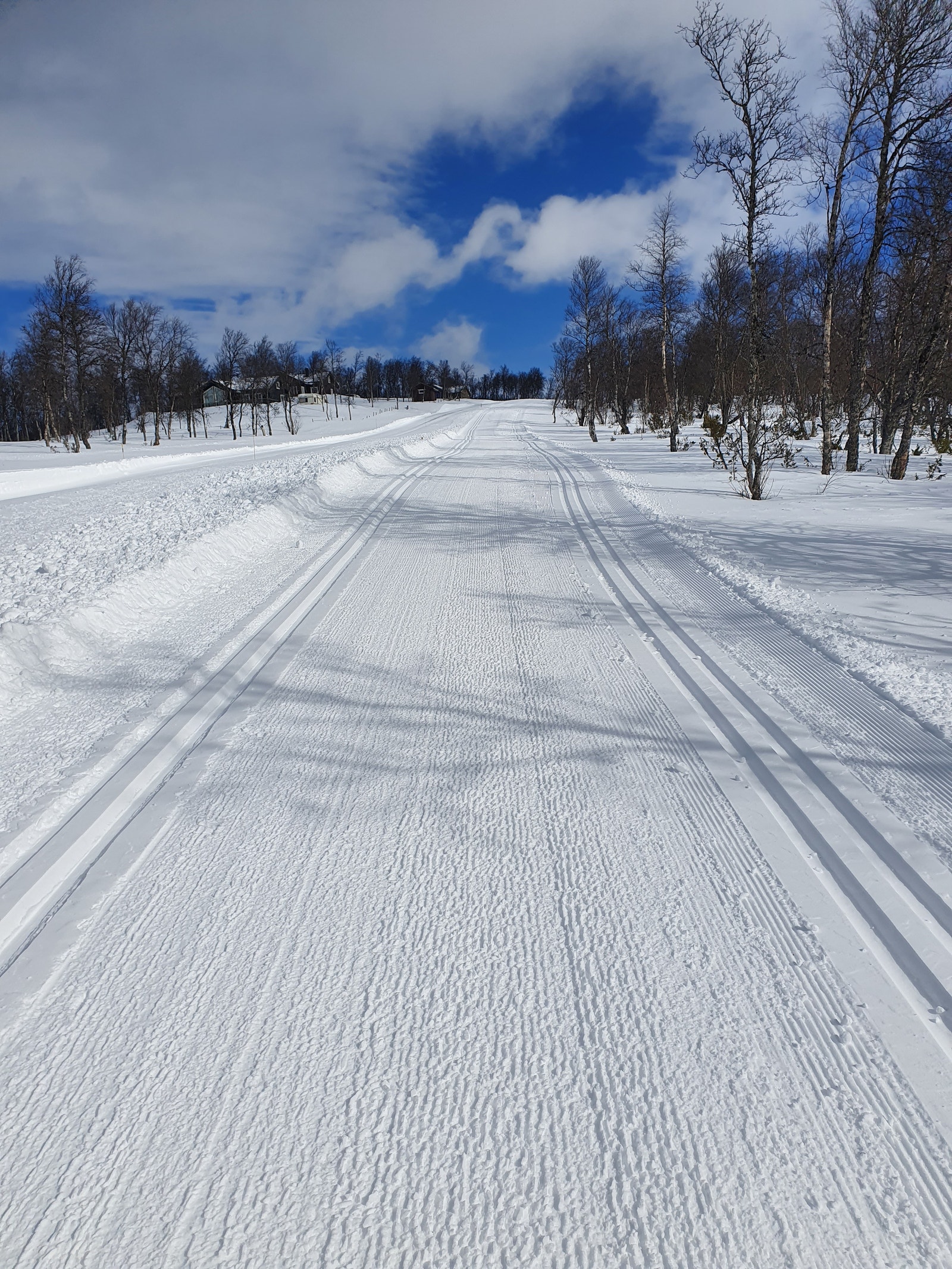 Slik ser skiløypene ut rett utenfor hytteveggen. Galleribilde