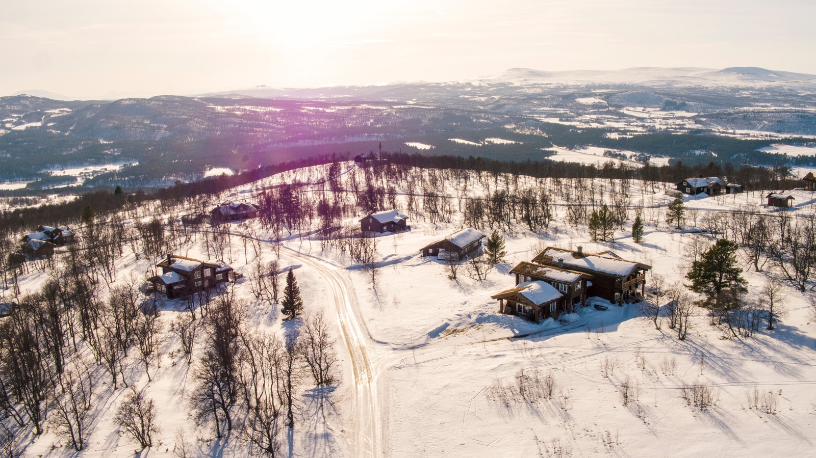 Selve feltet i vinterdrakt. Galleribilde