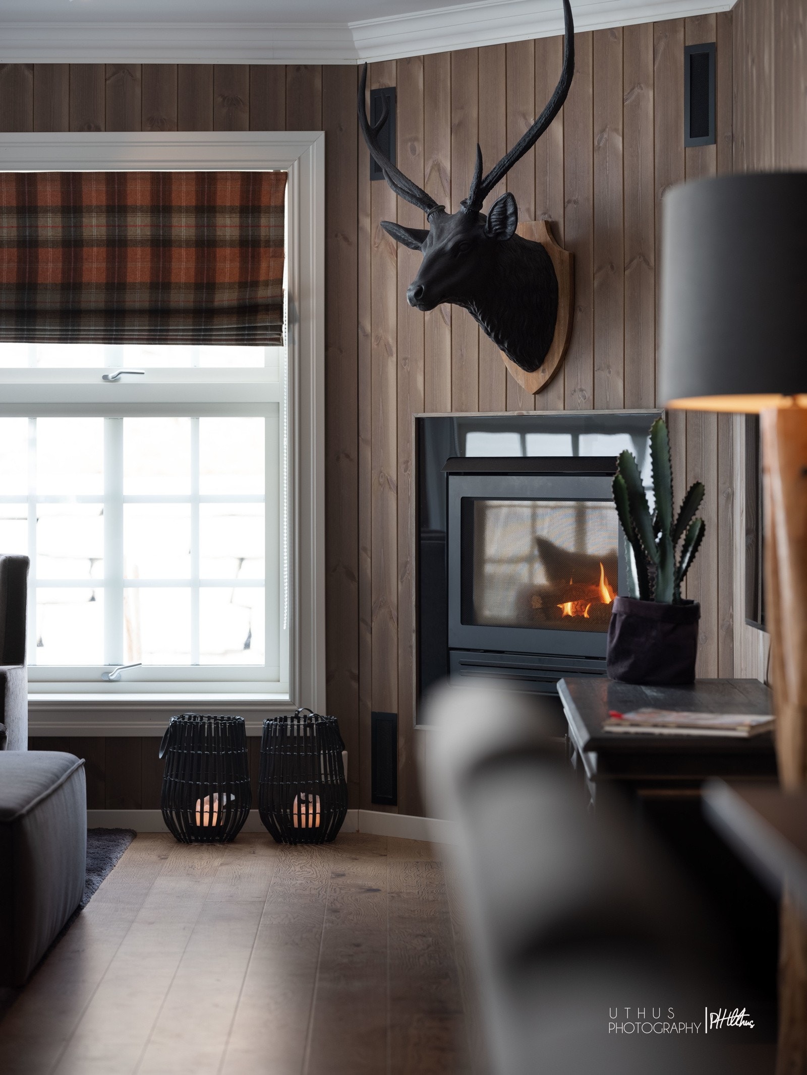 Koselig gasspeis i stuedelen Galleribilde