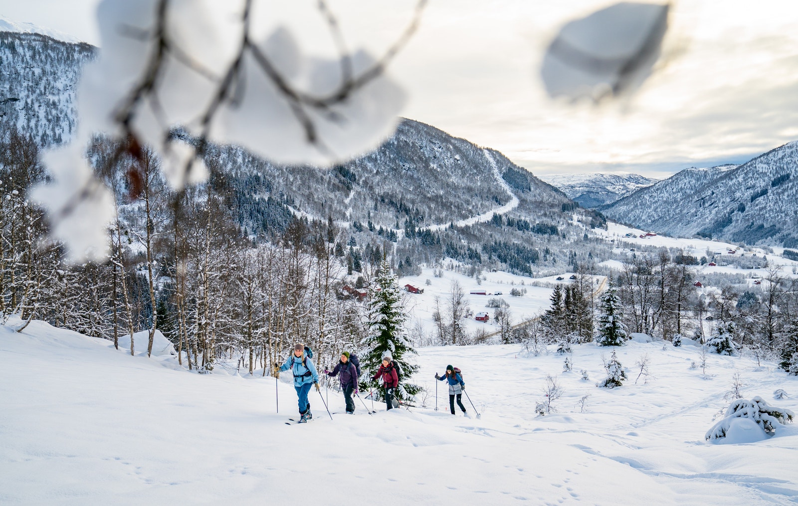 Vinter i Mørkveslia ( foto: Sverre F. Hjørnevik ) Galleribilde