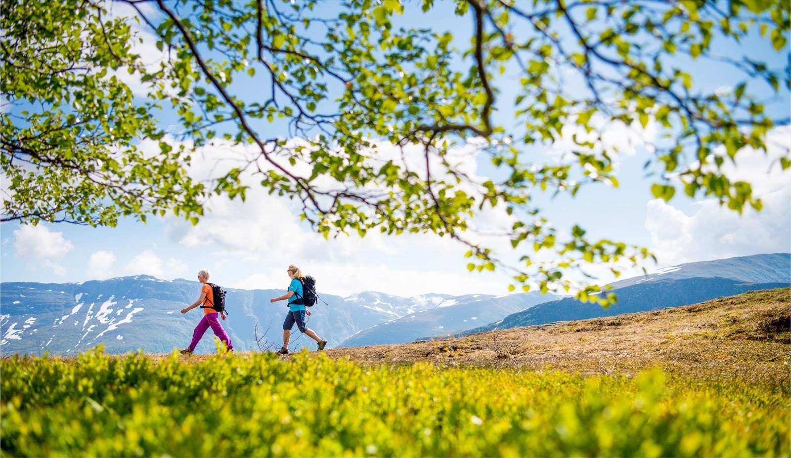 Ut på tur - aldri sur ! Nyt tur områdene hele året ( foto utlånt fra Myrkdalen Fjellandsby/Norway`s Best Galleribilde