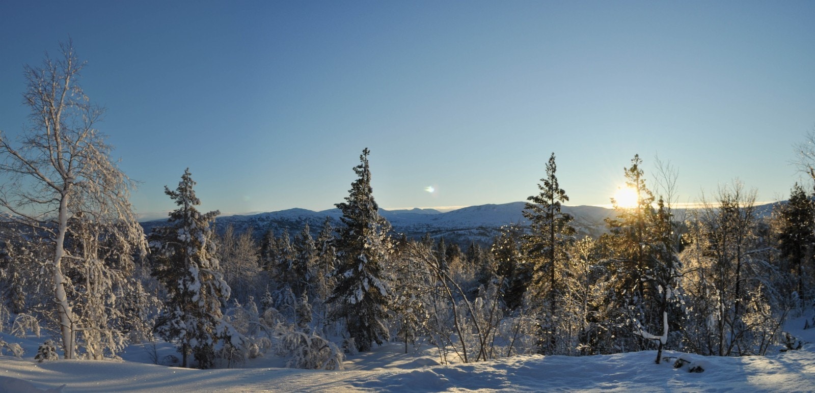 Utsikt fra nedre del av Grytkleiva mot sør Galleribilde