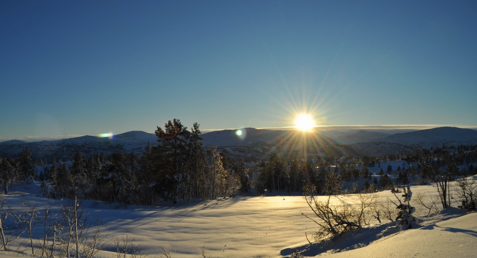Tomtene er beliggende ca 450 moh. i svært naturskjønne omgivelser med utsikt mot Trollheimen i sør Galleribilde
