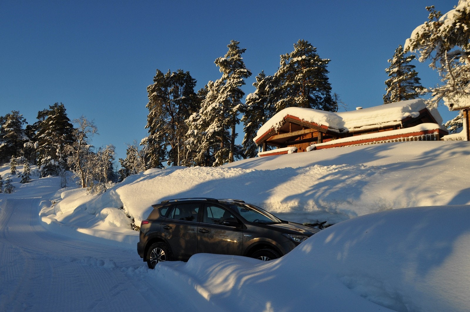 Tomtene har veg eller planlagt veg helt frem til hytta Galleribilde