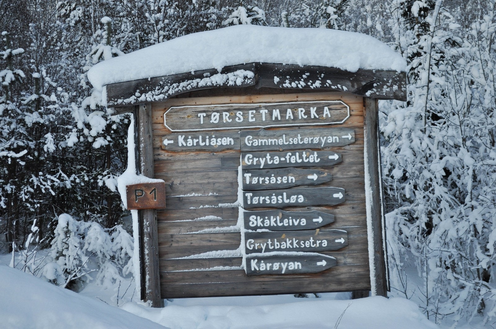 Tomtemulighetene i Gryta-feltet er fordelt på områdene Tørsåsen, Grytkleiva, Terjeslettet og Seteråsen Galleribilde