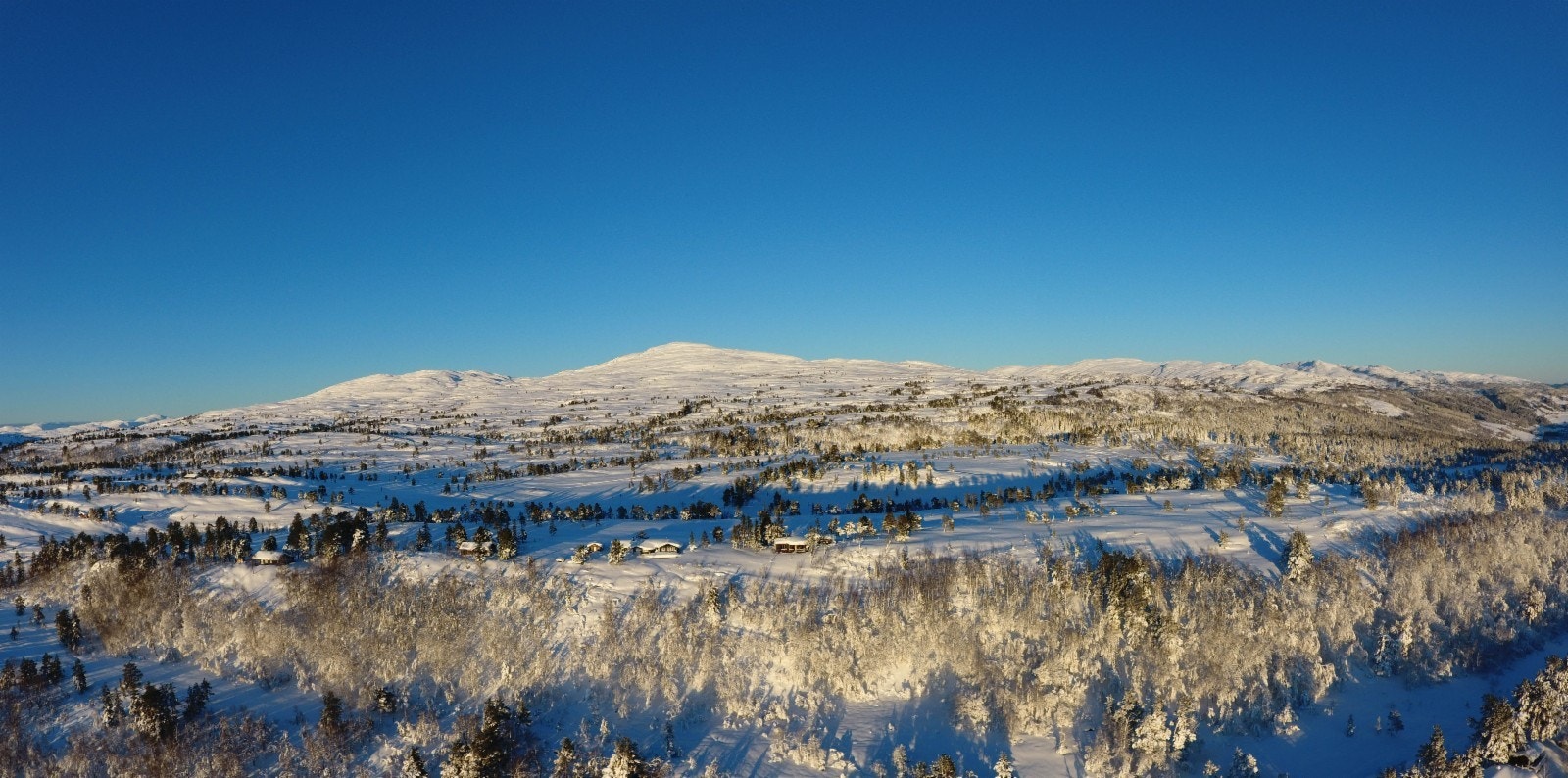 Uansett årstid, vi anbefaler visningstur til Rindal og Tørsetmarka. Velkommen! Galleribilde