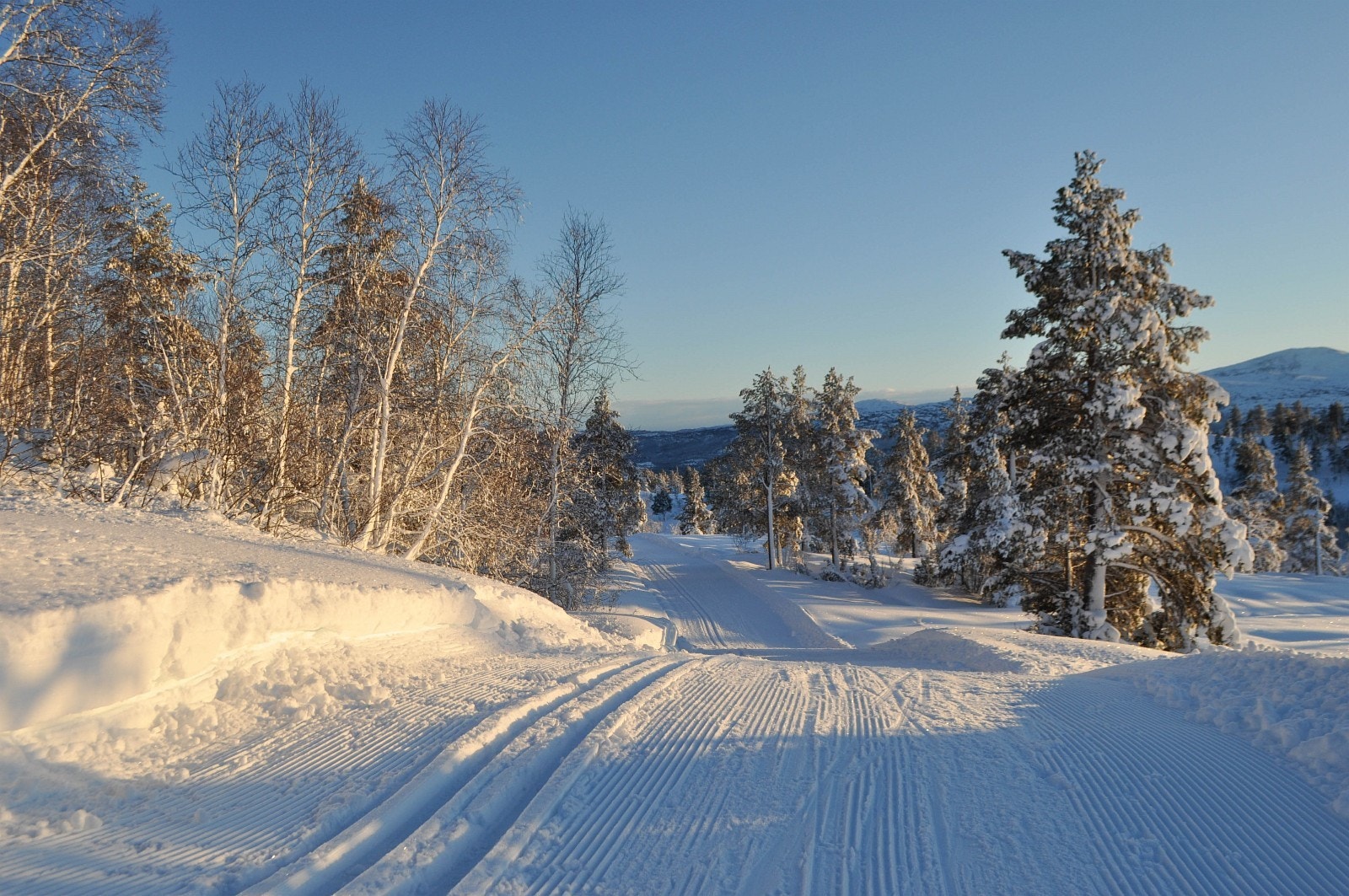 Tørsetmarka har flotte oppkjørte skiløyper Galleribilde