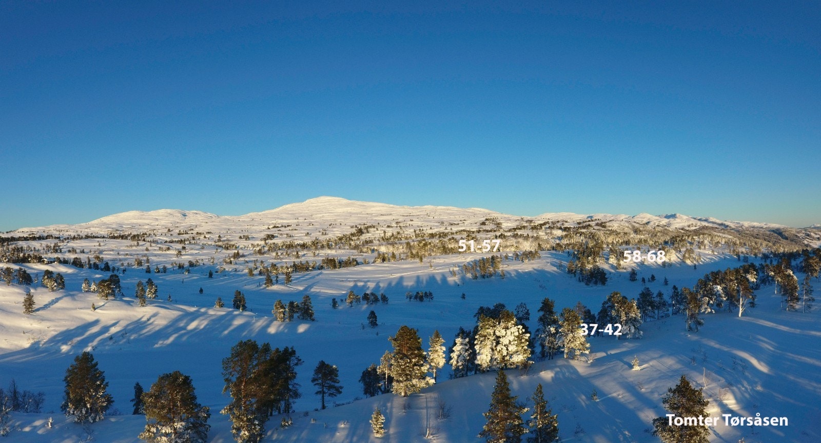 Her ser vi mot nord og de øverste tomtene i feltet Galleribilde