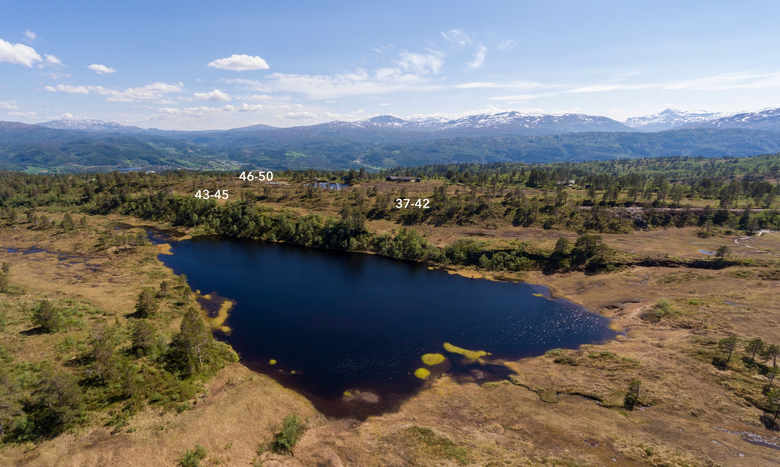 Velkommen til Tørsetmarka og Rindal! Galleribilde