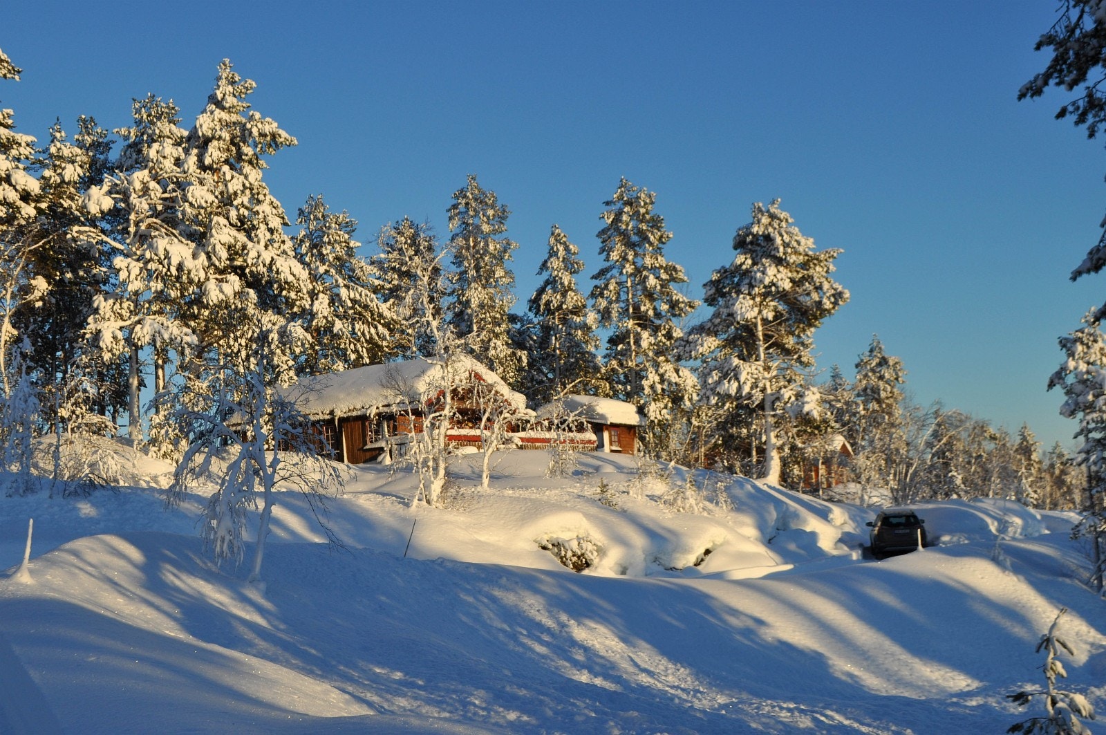 Tomtene har veg eller planlagt veg helt frem til hytta Galleribilde