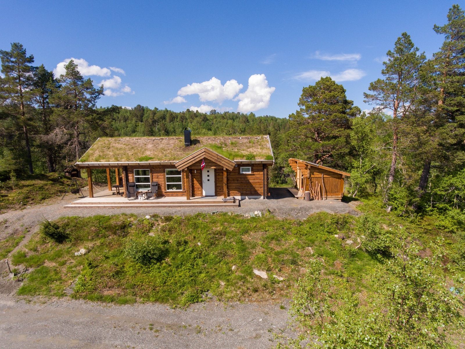 Grytkleiva i sommerdrakt Galleribilde