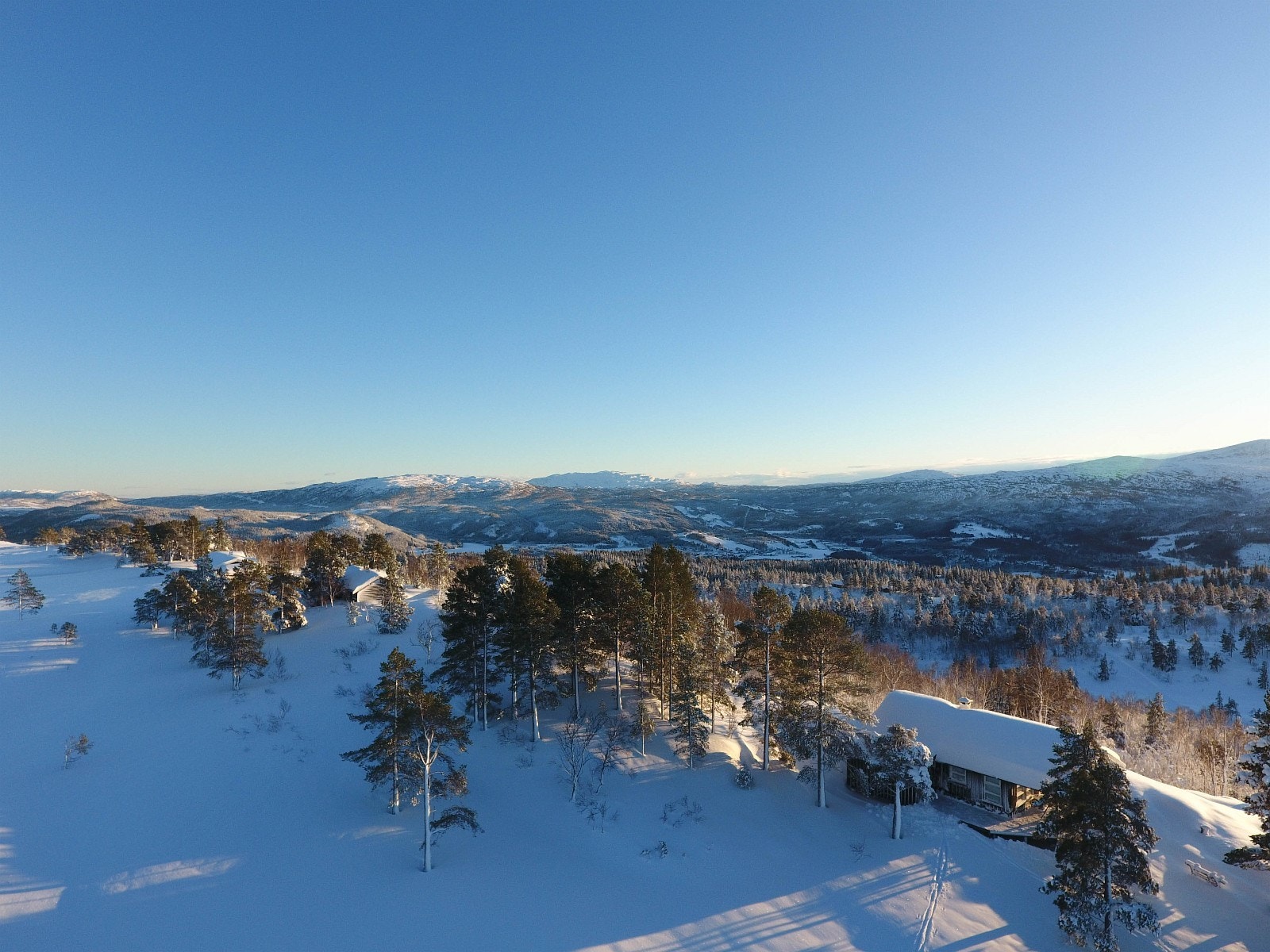 Tomtene er sørvendte beliggende på sju ulike høydedrag Galleribilde