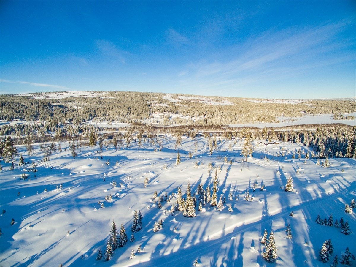 Med hytte i makeløse Merkeslia kan en nyte gode dager i fredelige omgivelser omgitt av vakker natur og et rikt aktivitetstilbud. Galleribilde