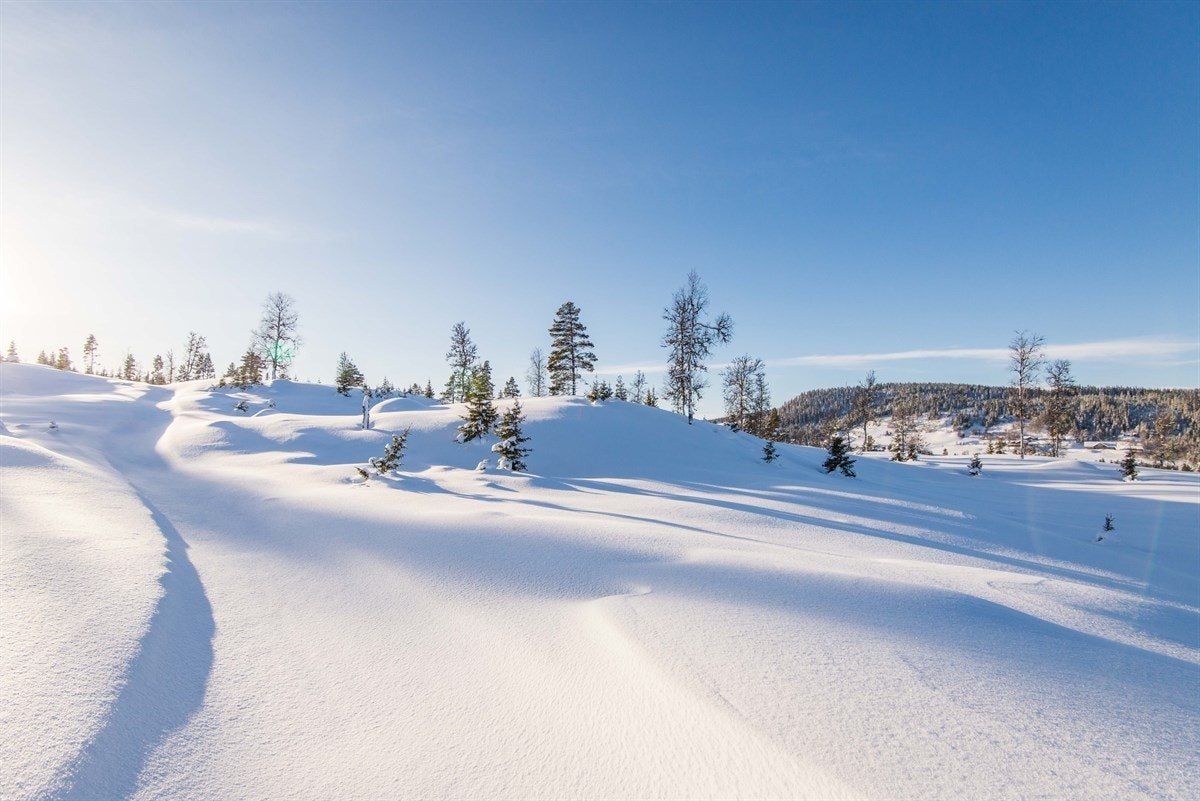 Fra hyttefeltet kan en også følge skiløypa frem til en spennende akebakke med nytt kjelketrekk. Bakken ligger nær, og driftes av, "Merket" som er et av Røde Kors sine ferie- og kurssentere. Galleribilde