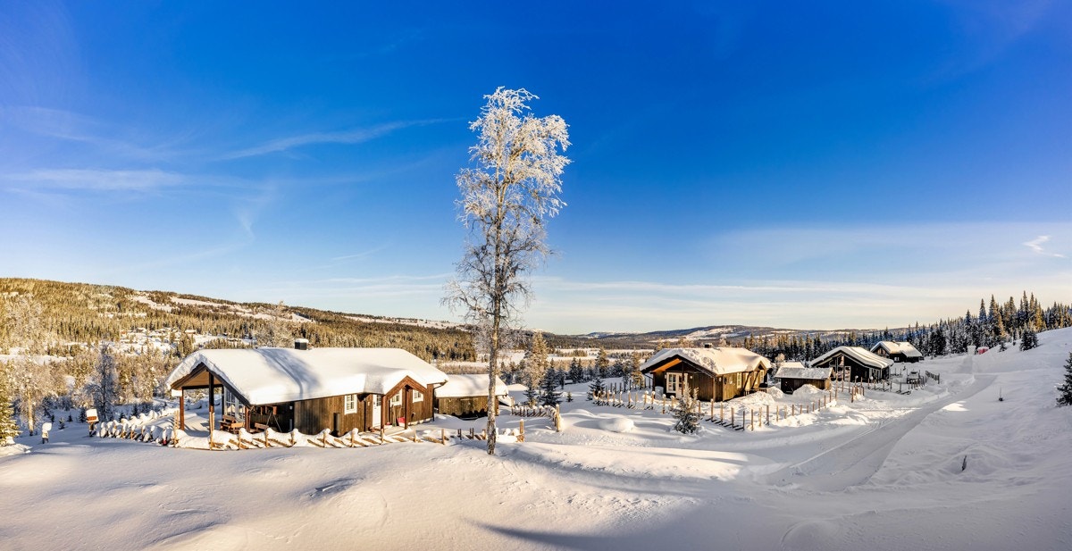 Med sin flott beliggenhet på fjellet mellom Valdres og Hallingdal er Tisleidalen et populært hytteområde. Området har lett helårs adkomst fra både øst- og vestlandet, også om en ønsker å benytte seg av offentlig transport. Galleribilde