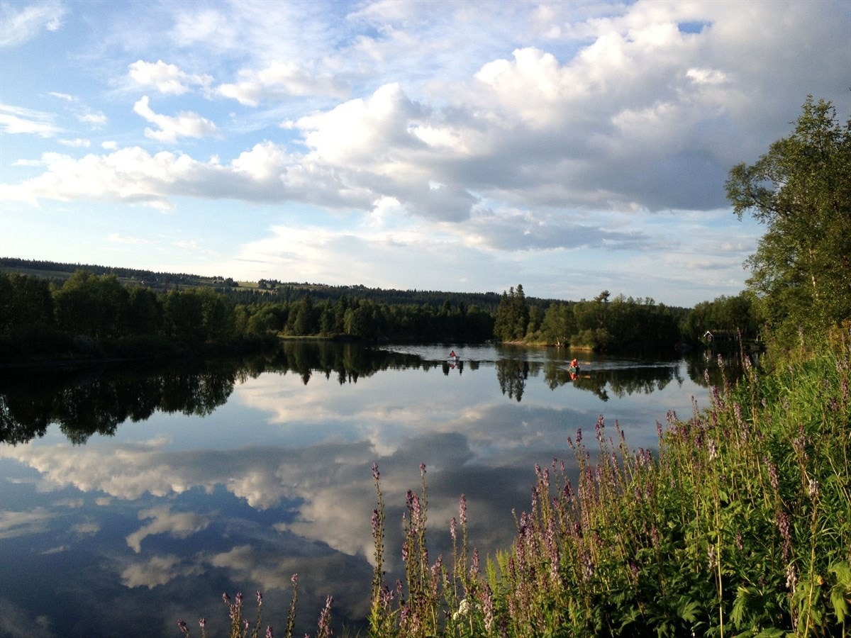 Tisleia er ei vakker elv som renner ut i Pardisfjorden og Ølsjøen. Den har flere, fine partier for fluefiske, bading og kano. Galleribilde