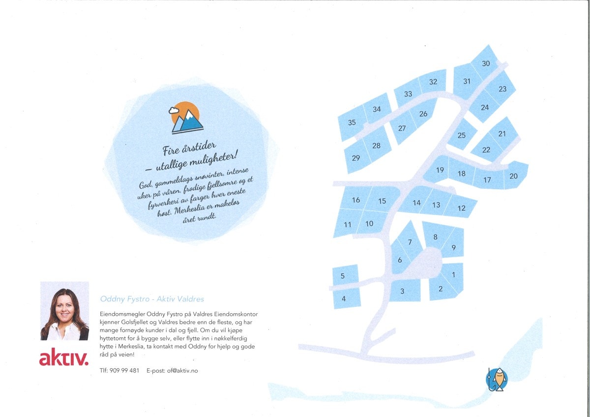 Tomtekart for Merkeslia Hyttefelt Galleribilde