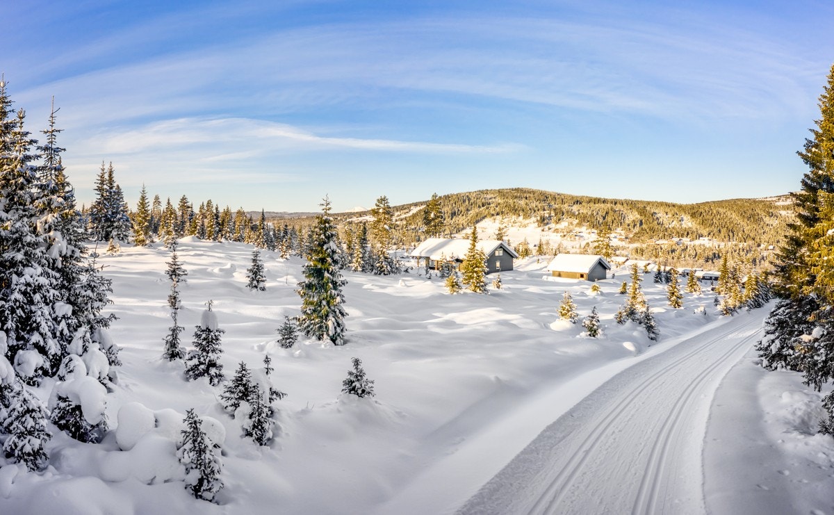 Nærmeste skiløype finner du rett opp for hyttefeltet. Denne er en del av et omfattende løypenett som strekker seg milevis innover fjellet. Galleribilde