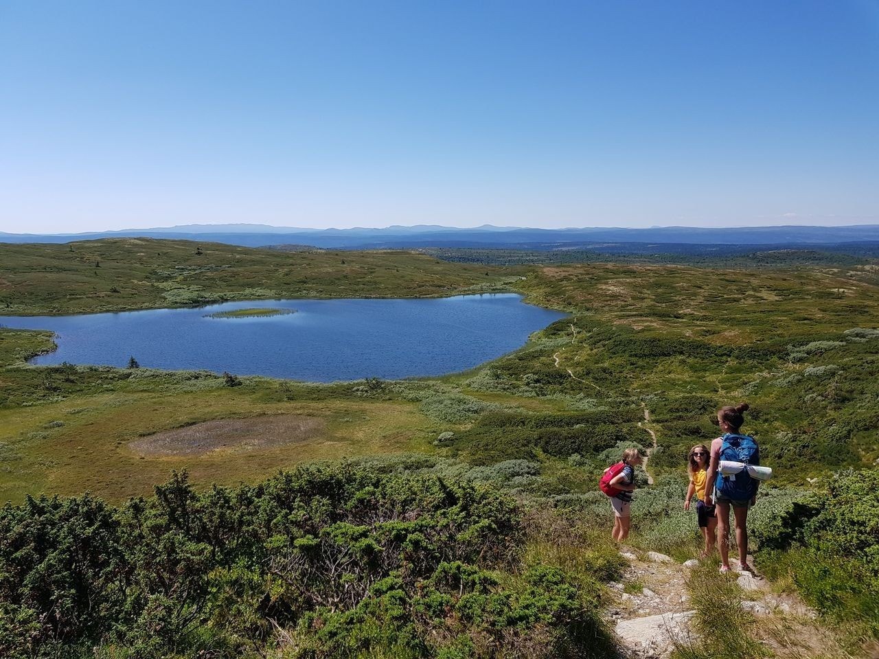 Mange fiskevann Galleribilde
