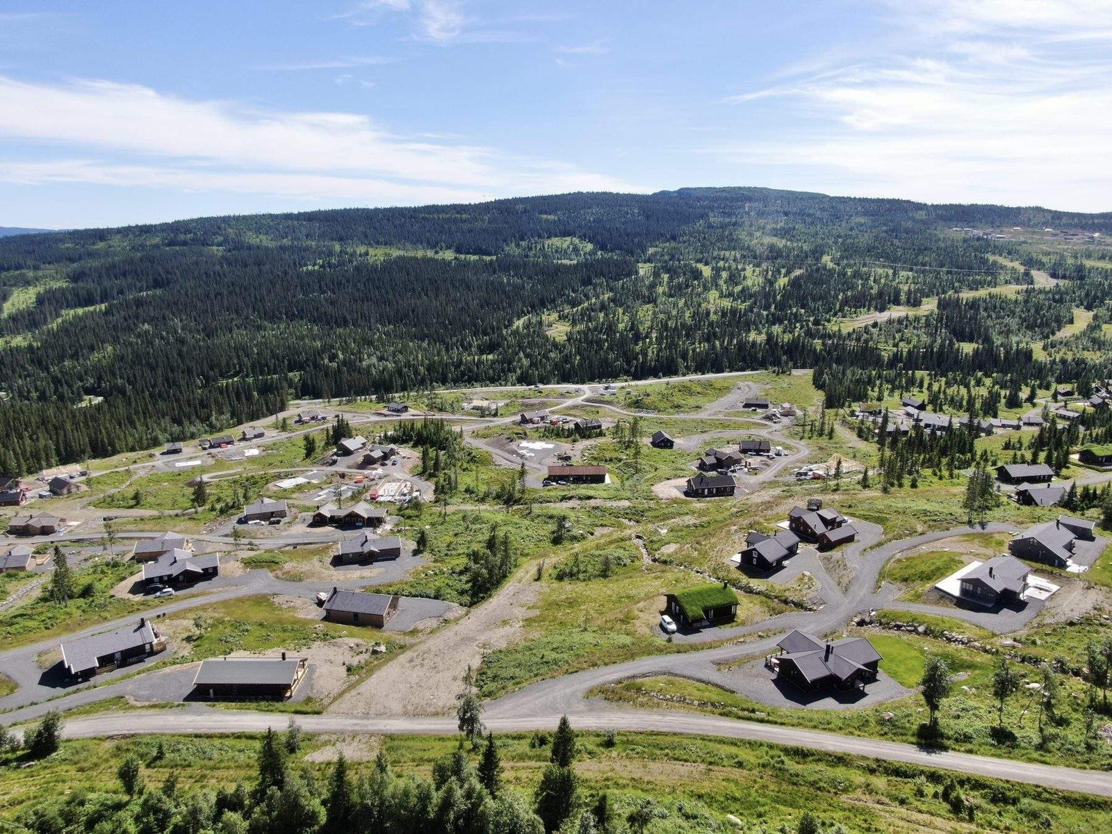 Slåseterlia Fjellgrend Galleribilde