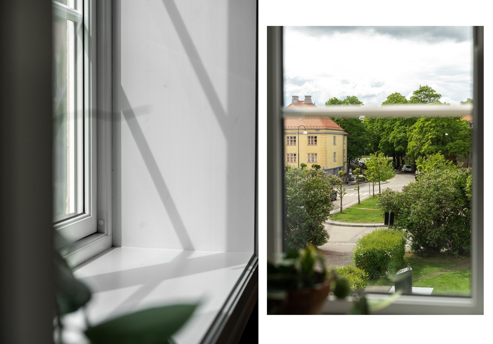 Utsikten mot de ærverdige gamle eiketrærne langs Thurmanns gate blir man aldri lei av! Galleribilde