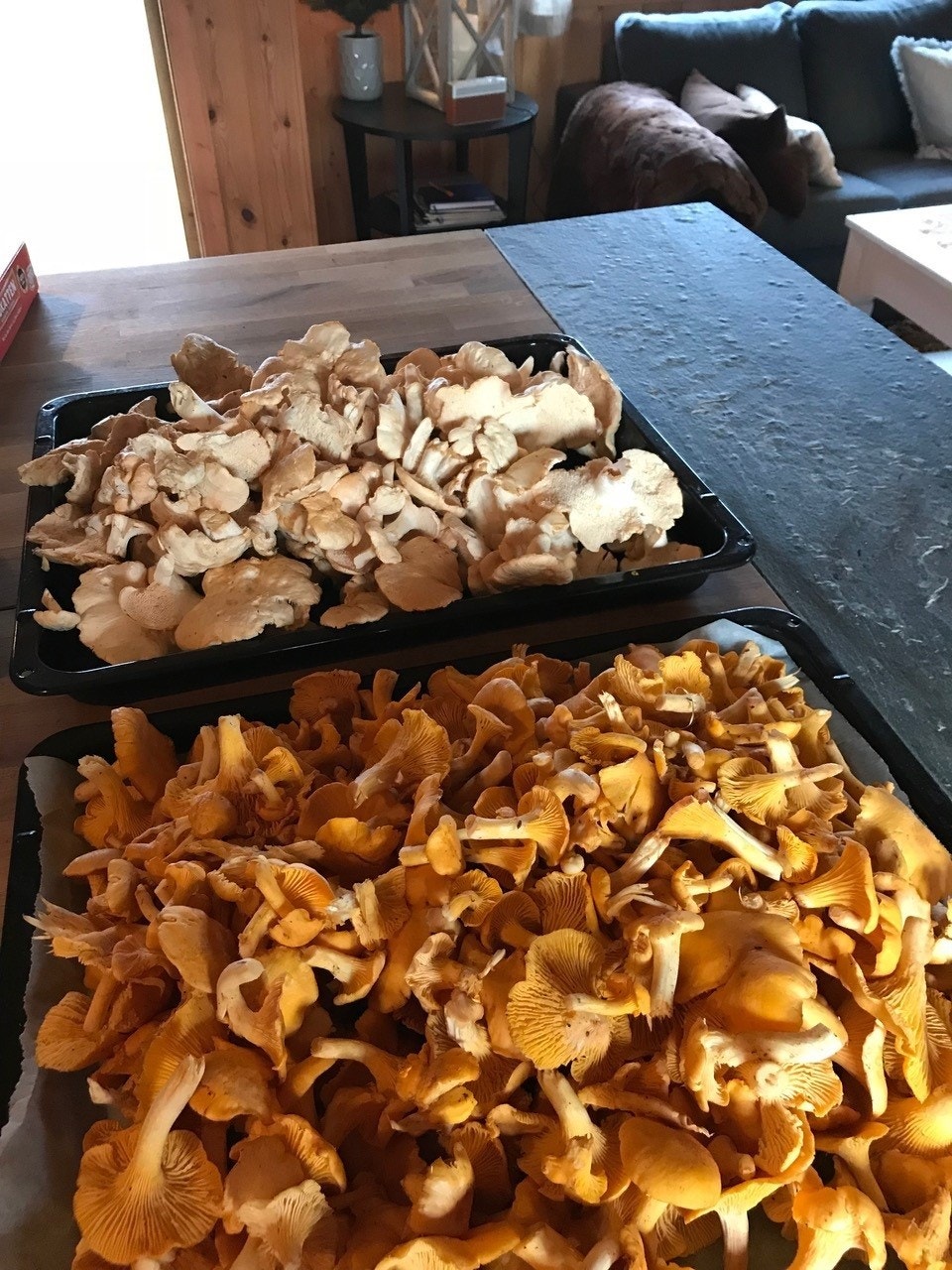 Bilde tatt av selger Galleribilde