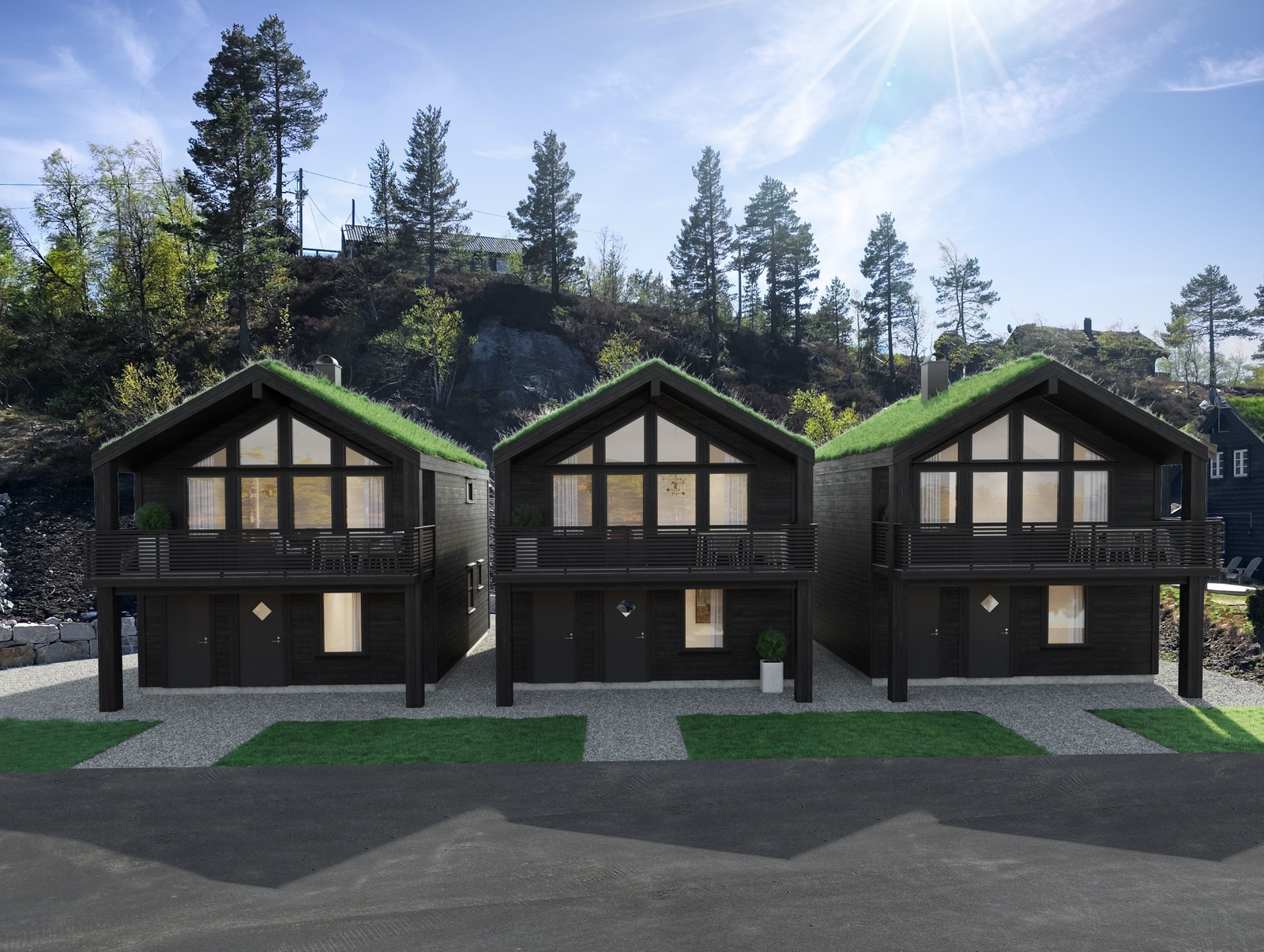 Bortelid Alpin Hytter Galleribilde