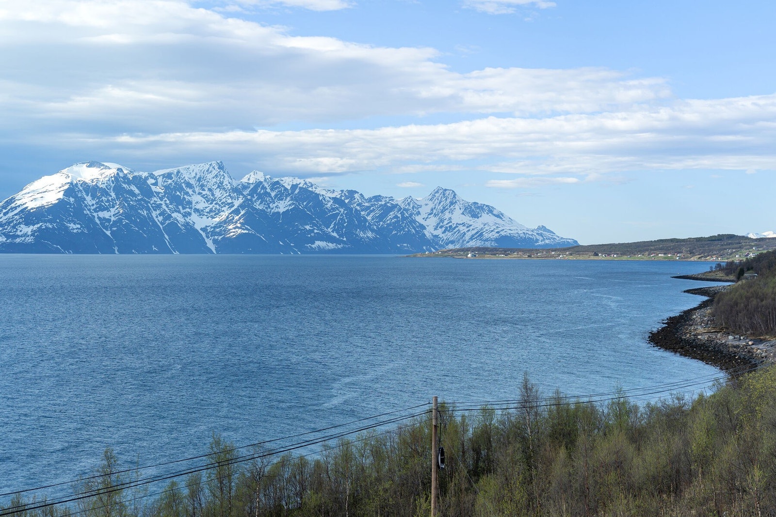 DSC01085 Galleribilde