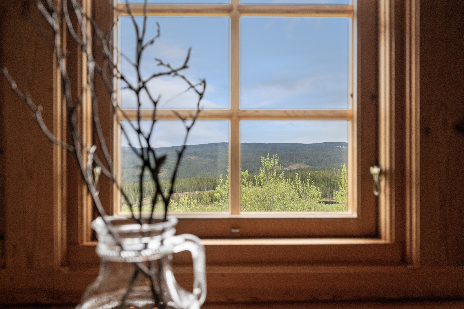 Utsikt til vakre omgivelser fra vinudet Galleribilde