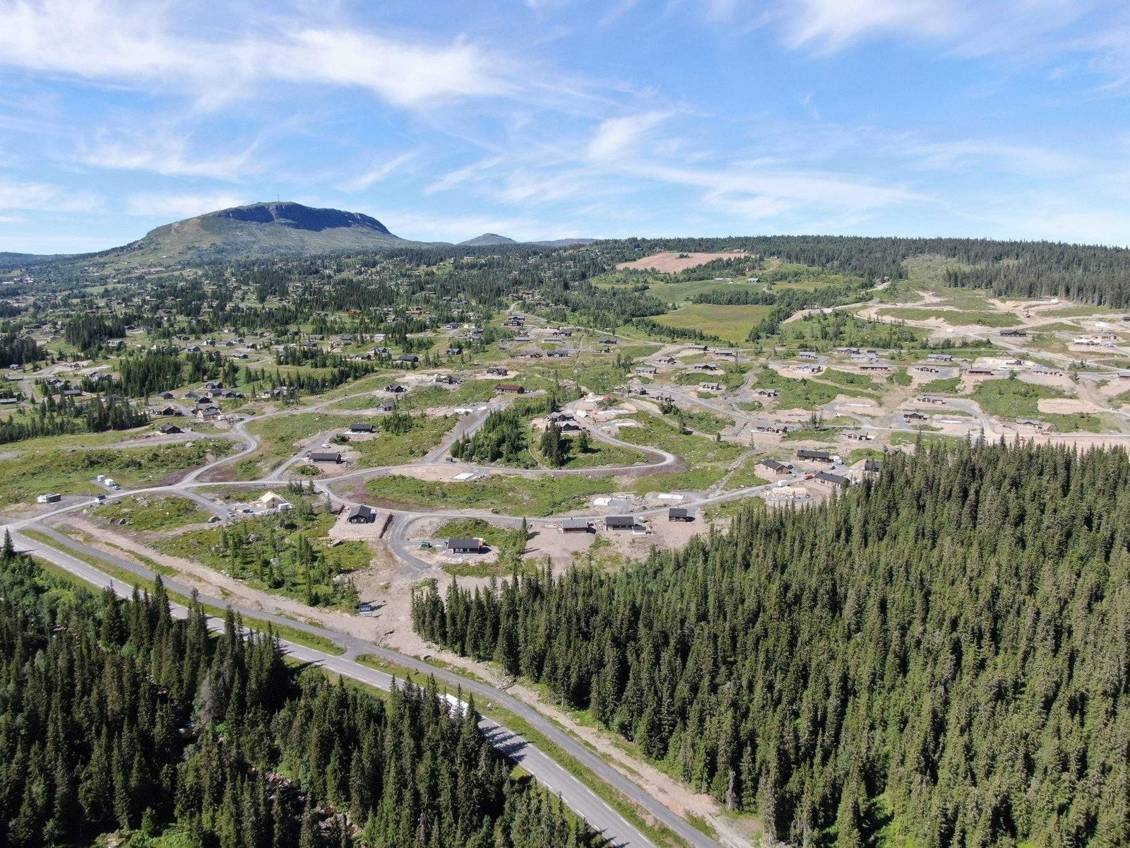 Slåseterlia Fjellgrend sommer 2021 Galleribilde