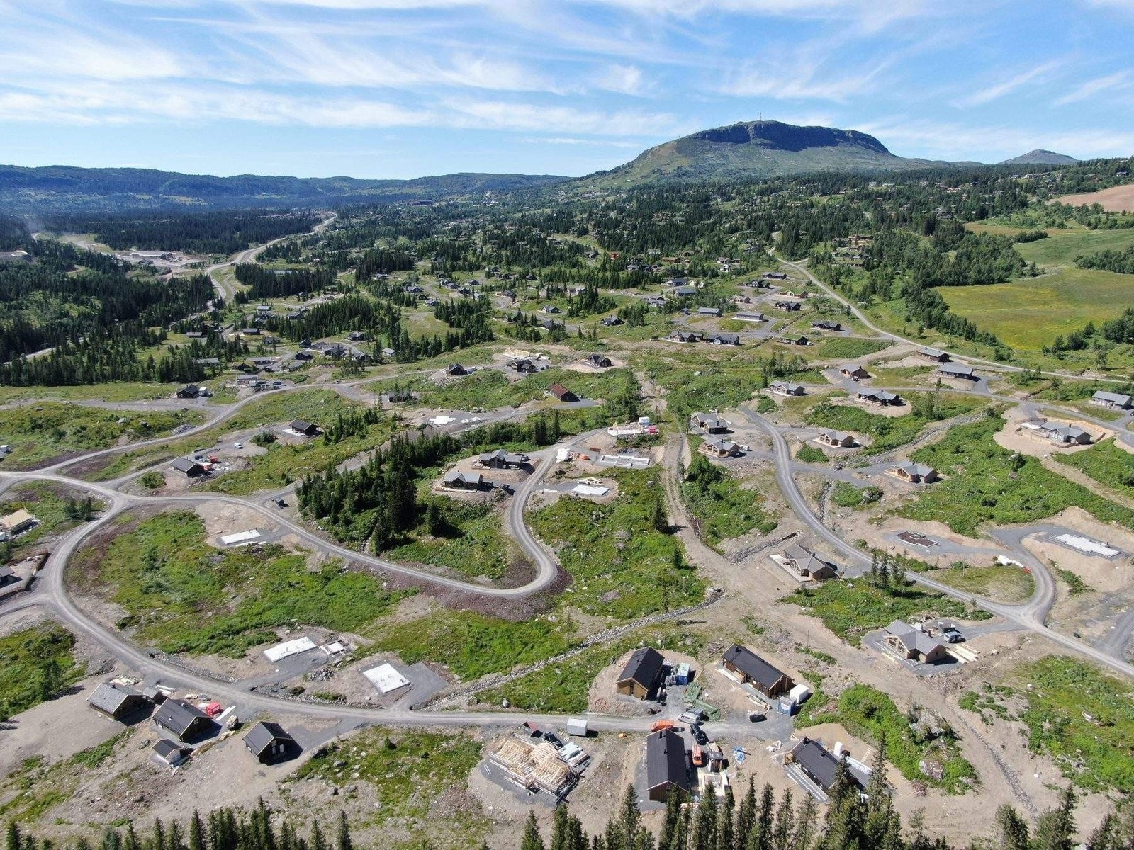 Slåseterlia Fjellgrend sommer Galleribilde