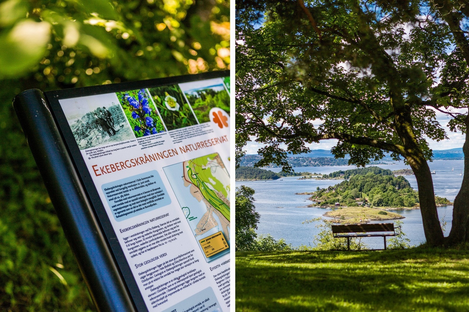 Ekebergparken kan by på klatrepark, skulpturer og turstier. Galleribilde
