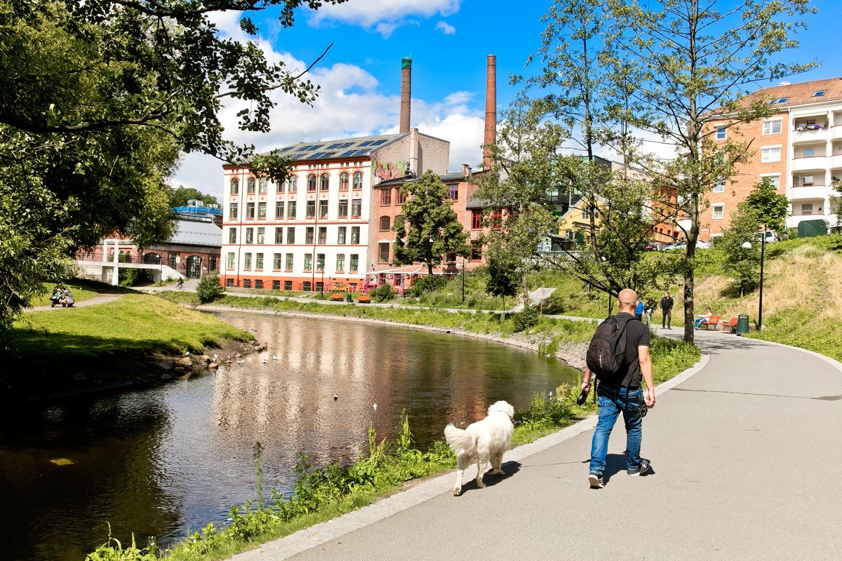 Store grøntområder langs Akerselva som byr på flotte turmuligheter... Galleribilde